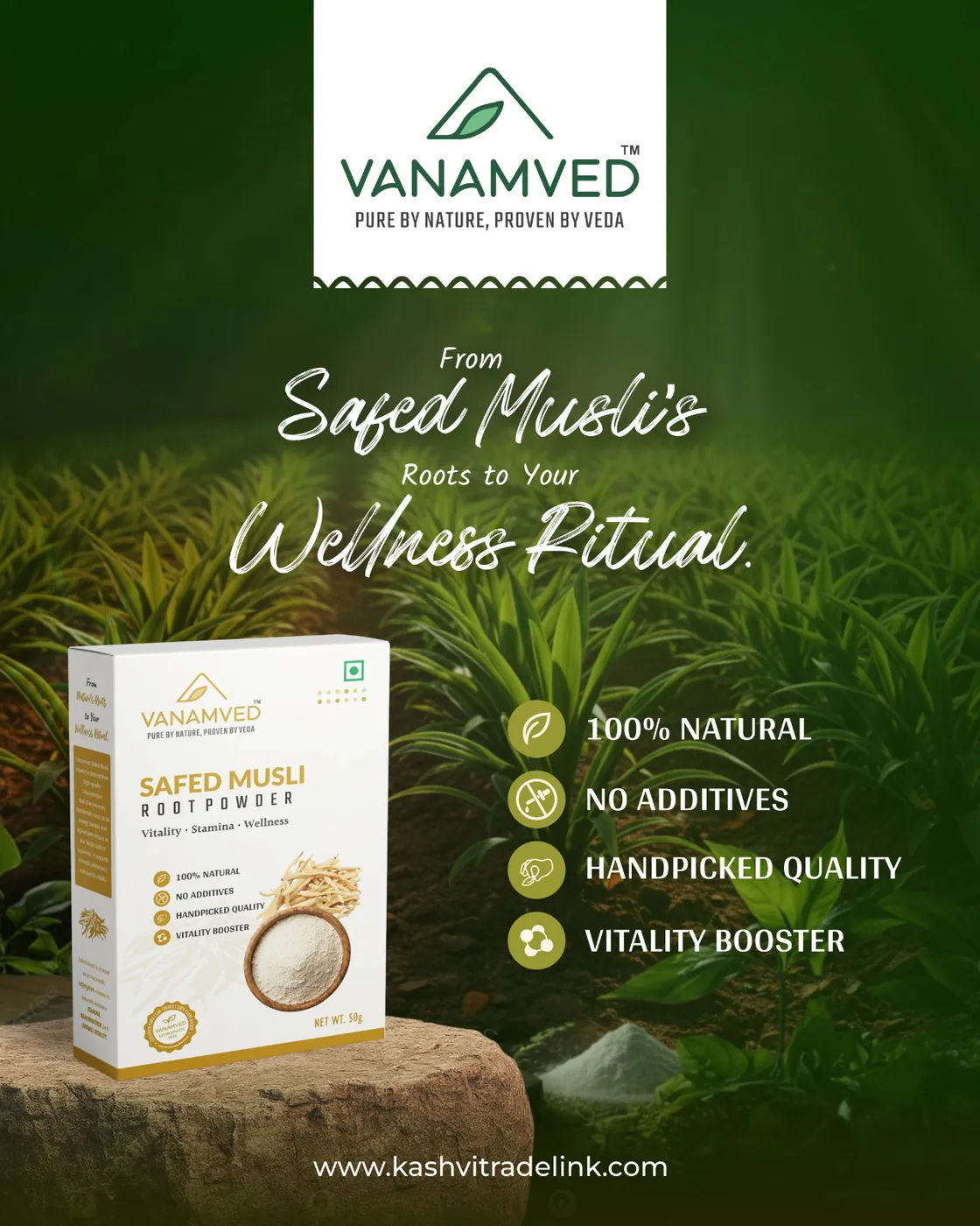 Safed Musli: The Ayurvedic Root for Stamina, Strength & Vitality